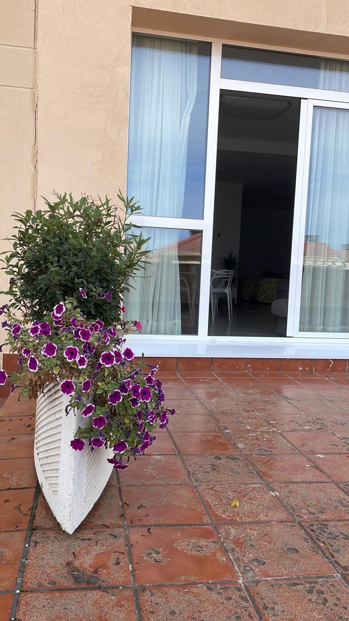 Aljama Burgos Aparthotel Luaran gambar